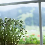 Urlaubsland Sonnfeld Apartament *