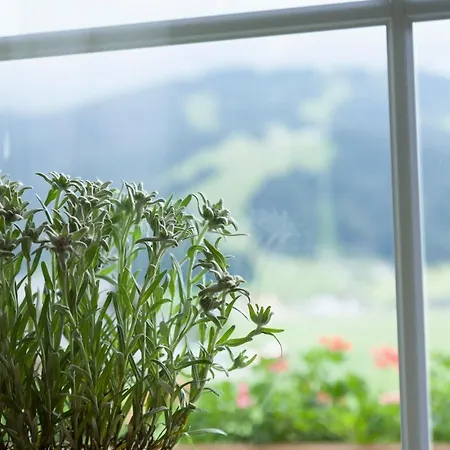 Urlaubsland Sonnfeld Apartmán *