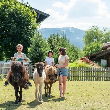 Apartament Urlaubsland Sonnfeld Flachau