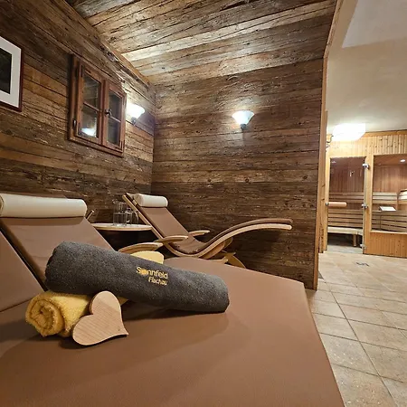 Urlaubsland Sonnfeld Apartment Flachau