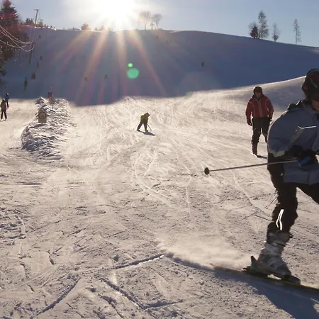 Lejlighed Urlaubsland Sonnfeld Flachau