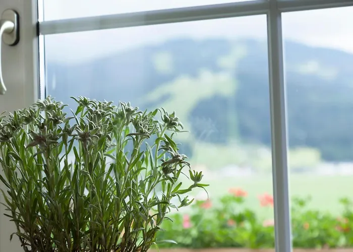 Urlaubsland Sonnfeld Apartament *